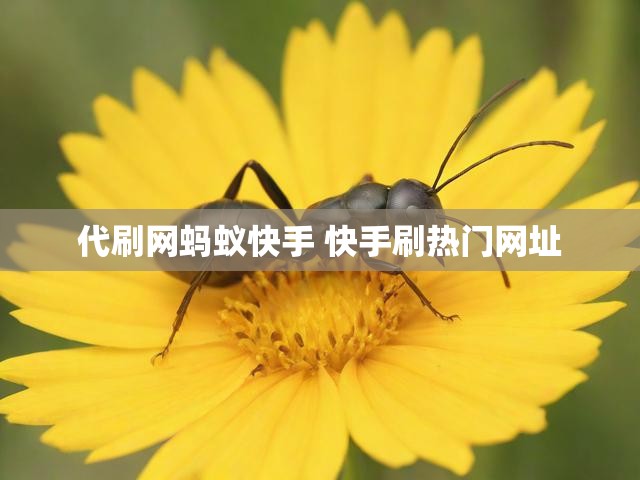 代刷网蚂蚁快手 快手刷热门网址