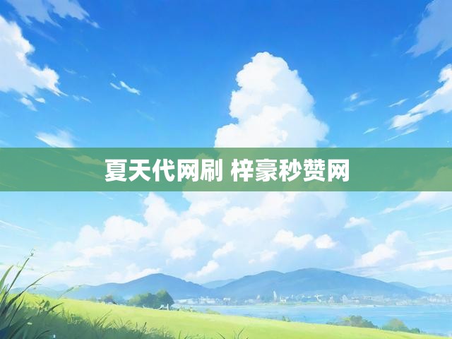 夏天代网刷 梓豪秒赞网