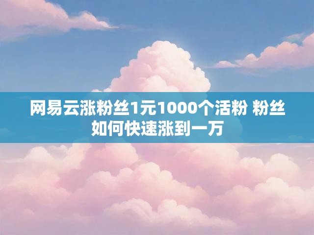 网易云涨粉丝1元1000个活粉 粉丝如何快速涨到一万