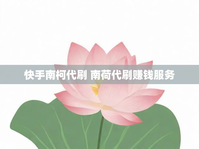 快手南柯代刷 南荷代刷赚钱服务