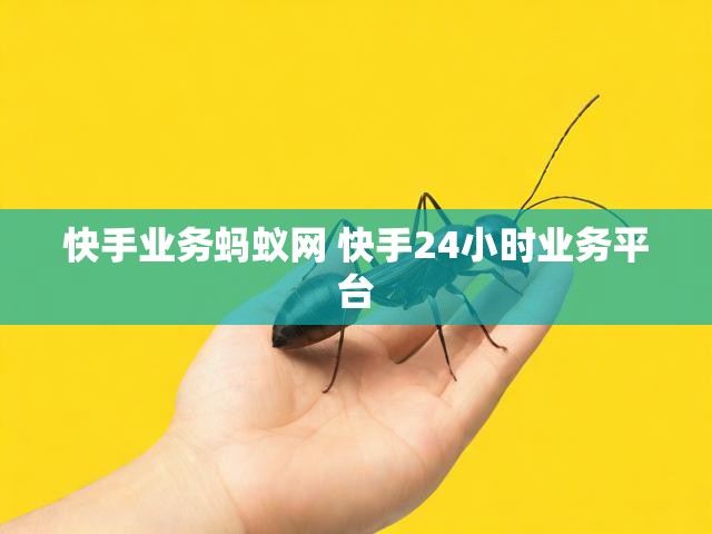 快手业务蚂蚁网 快手24小时业务平台