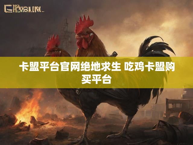 卡盟平台官网绝地求生 吃鸡卡盟购买平台
