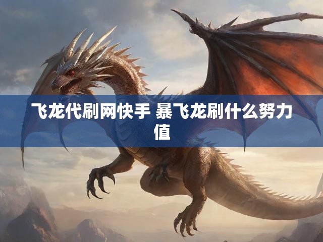 飞龙代刷网快手 暴飞龙刷什么努力值