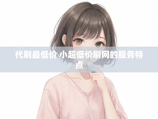 代刷最低价 小超低价刷网的服务特点