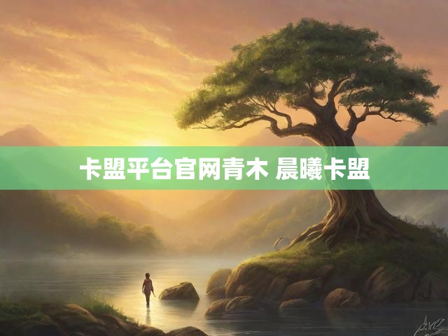 卡盟平台官网青木 晨曦卡盟