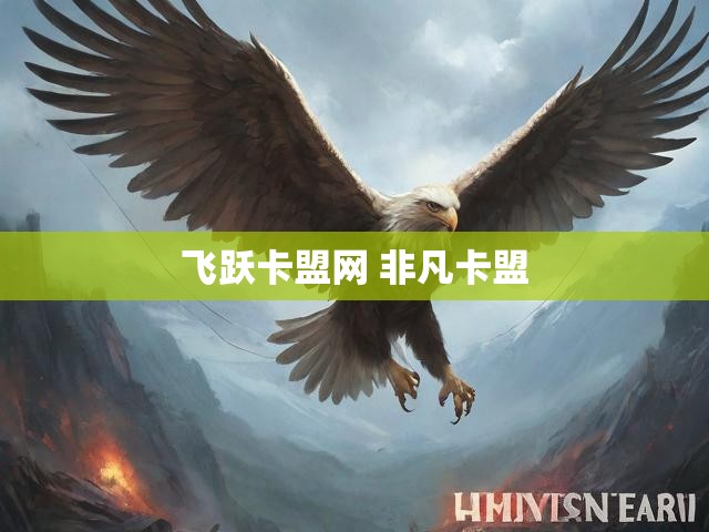 飞跃卡盟网 非凡卡盟