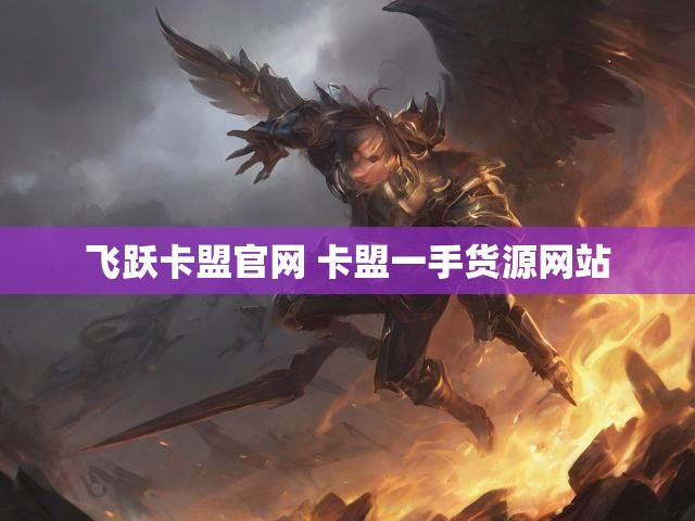 飞跃卡盟官网 卡盟一手货源网站