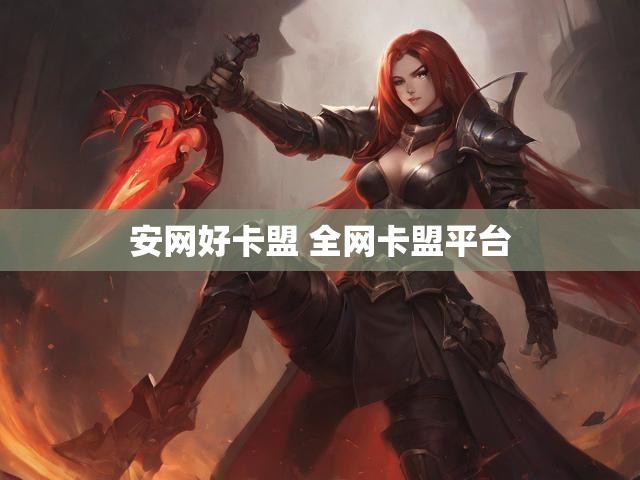 安网好卡盟 全网卡盟平台