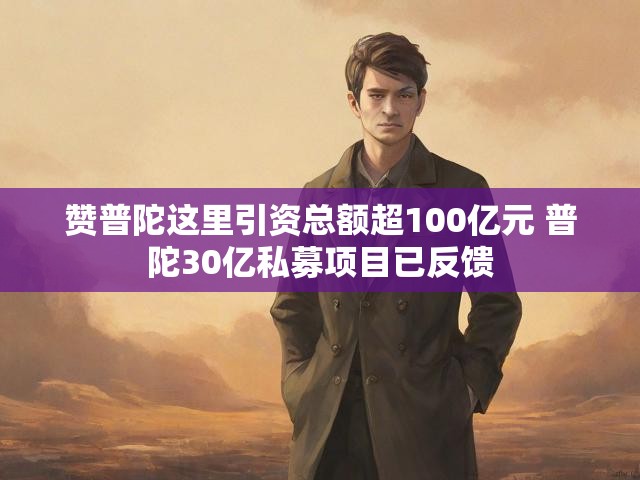 赞普陀这里引资总额超100亿元 普陀30亿私募项目已反馈