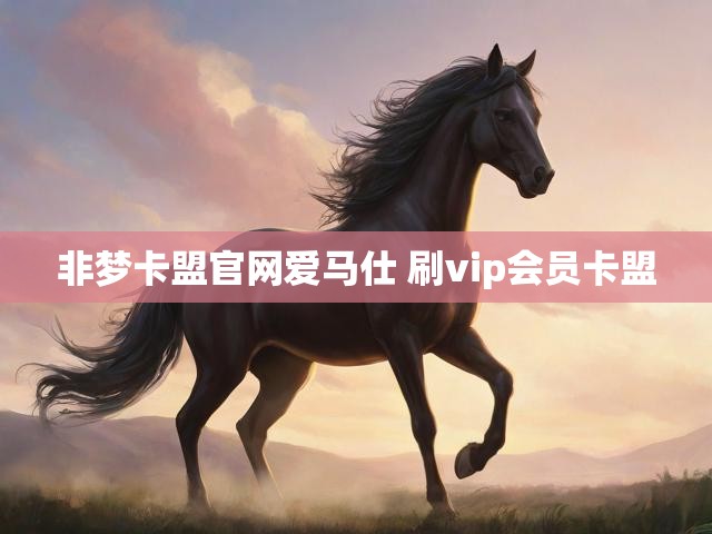 非梦卡盟官网爱马仕 刷vip会员卡盟