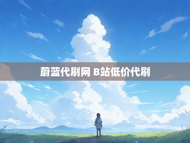 蔚蓝代刷网 B站低价代刷