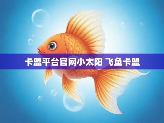 卡盟平台官网小太阳 飞鱼卡盟