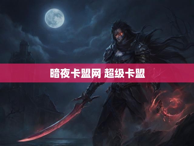 暗夜卡盟网 超级卡盟