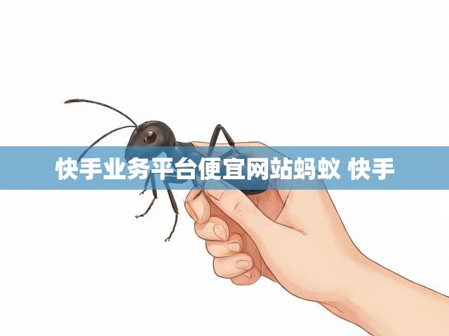 快手业务平台便宜网站蚂蚁 快手