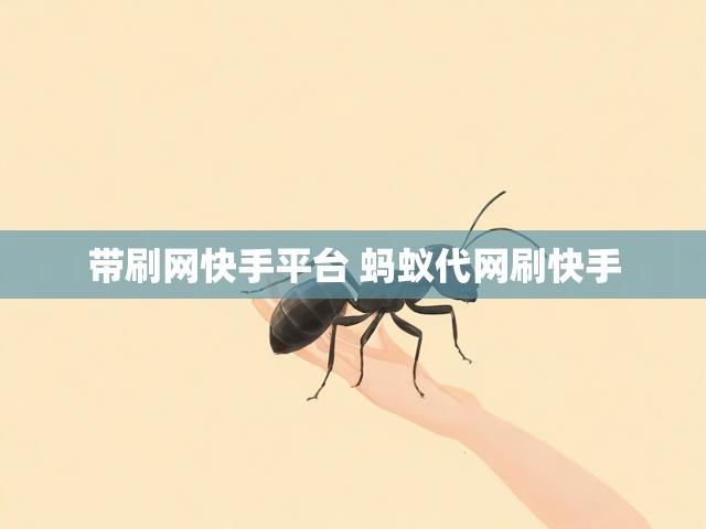 带刷网快手平台 蚂蚁代网刷快手