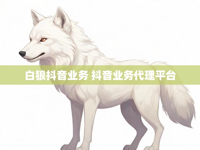 白狼抖音业务 抖音业务代理平台