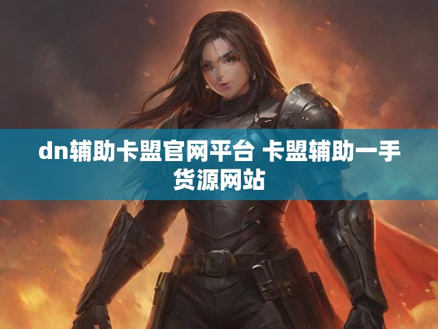 dn辅助卡盟官网平台 卡盟辅助一手货源网站