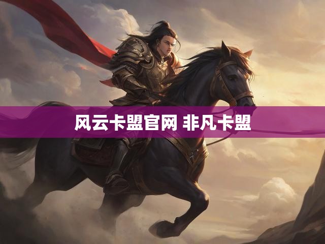 风云卡盟官网 非凡卡盟