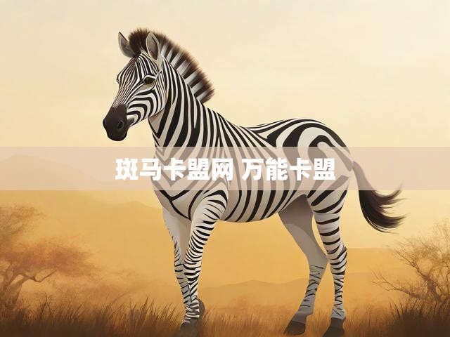 斑马卡盟网 万能卡盟