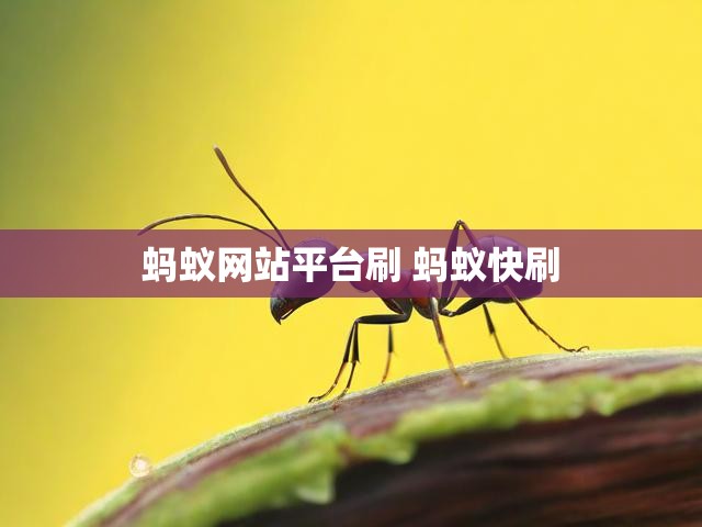 蚂蚁网站平台刷 蚂蚁快刷