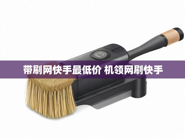 带刷网快手最低价 机领网刷快手