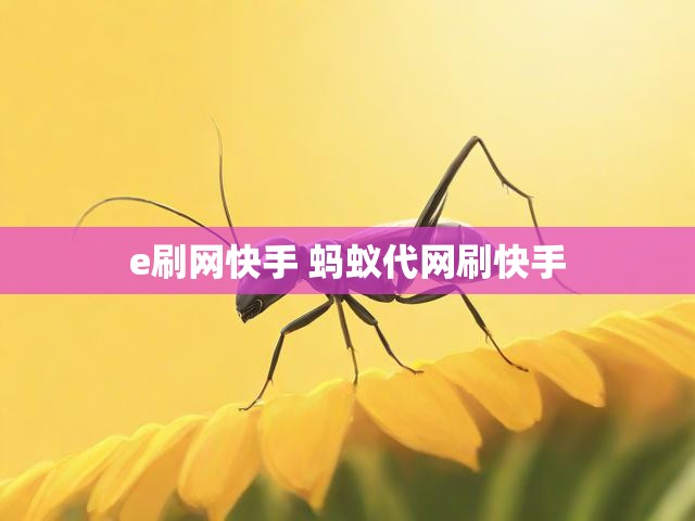 e刷网快手 蚂蚁代网刷快手
