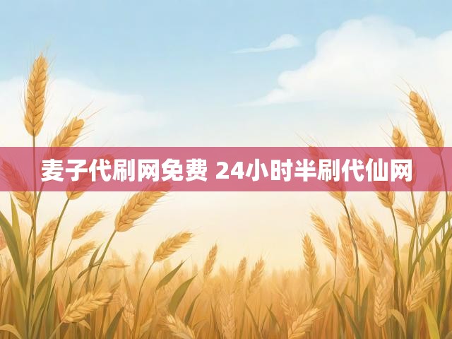 麦子代刷网免费 24小时半刷代仙网
