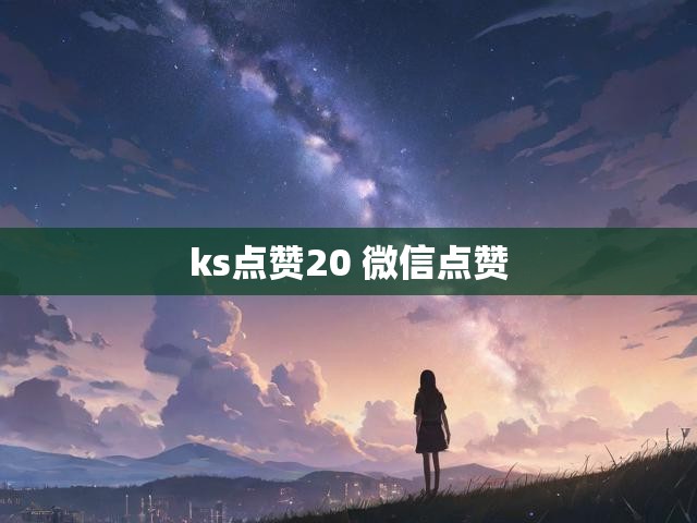 ks点赞20 微信点赞