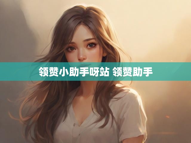 领赞小助手呀站 领赞助手