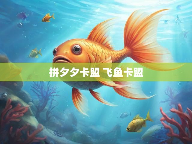 拼夕夕卡盟 飞鱼卡盟
