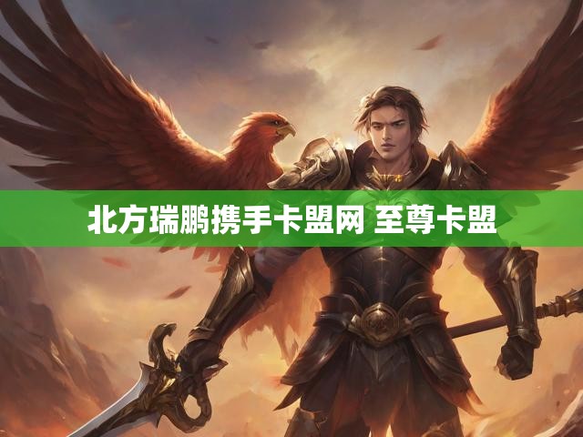 北方瑞鹏携手卡盟网 至尊卡盟