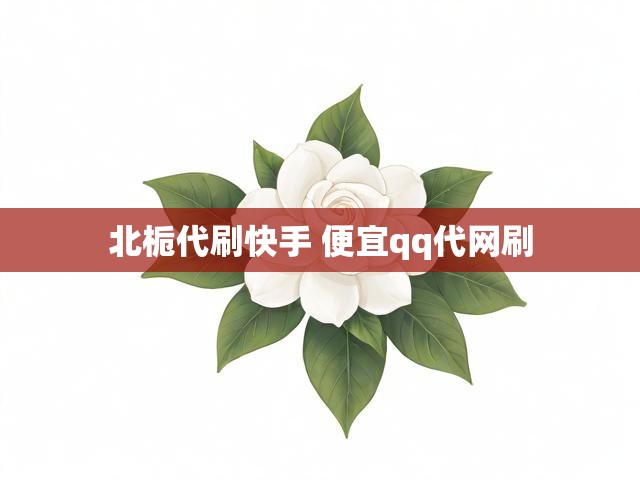 北栀代刷快手 便宜qq代网刷
