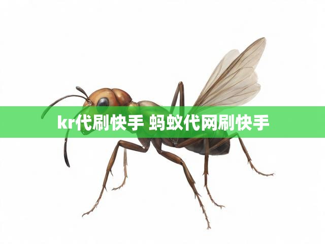 kr代刷快手 蚂蚁代网刷快手