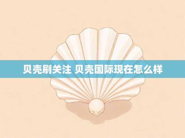 贝壳刷关注 贝壳国际现在怎么样