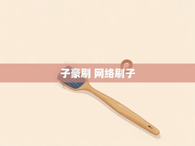 子豪刷 网络刷子