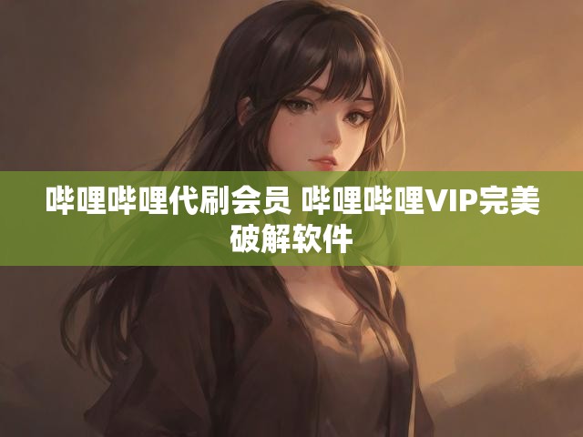 哔哩哔哩代刷会员 哔哩哔哩VIP完美破解软件