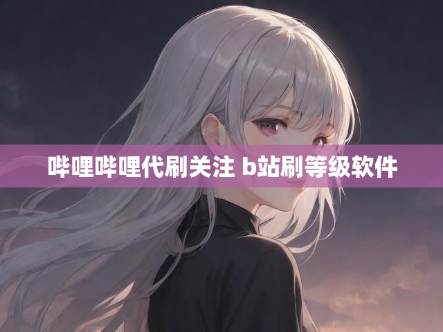 哔哩哔哩代刷关注 b站刷等级软件