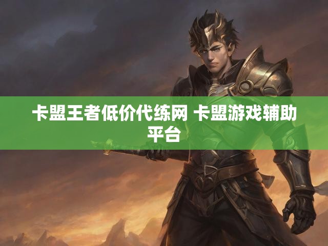 卡盟王者低价代练网 卡盟游戏辅助平台
