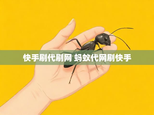 快手刷代刷网 蚂蚁代网刷快手