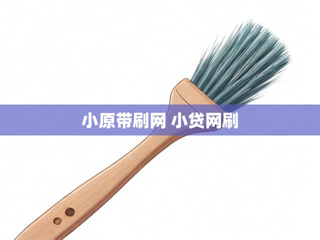 小原带刷网 小贷网刷