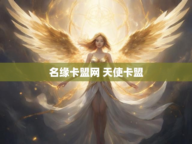 名缘卡盟网 天使卡盟