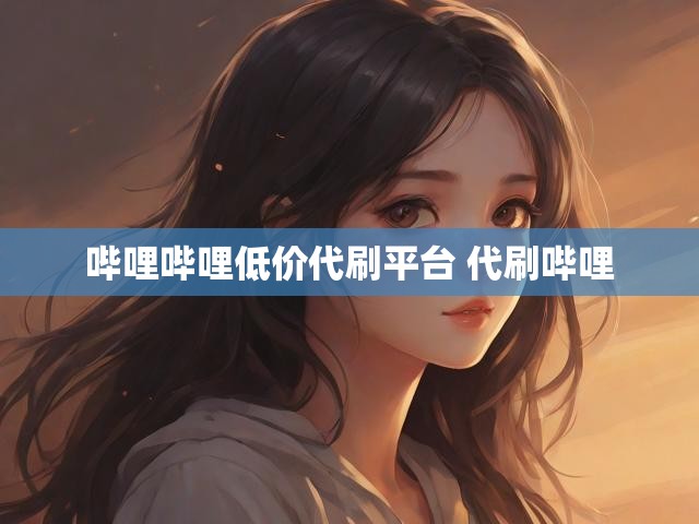 哔哩哔哩低价代刷平台 代刷哔哩