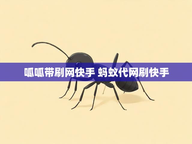 呱呱带刷网快手 蚂蚁代网刷快手