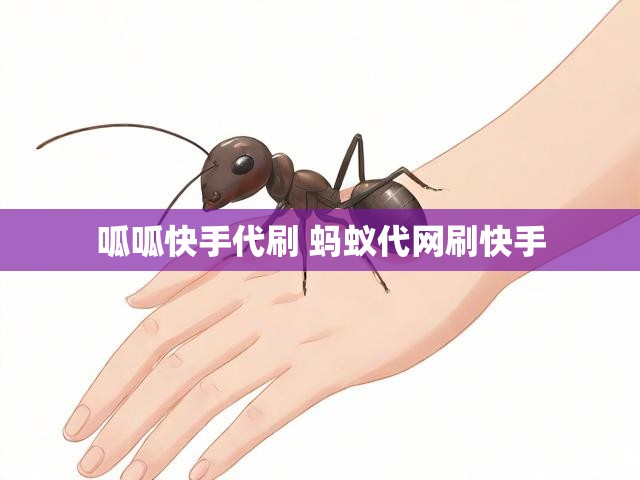 呱呱快手代刷 蚂蚁代网刷快手