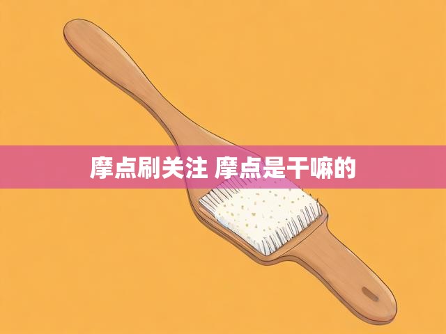 摩点刷关注 摩点是干嘛的