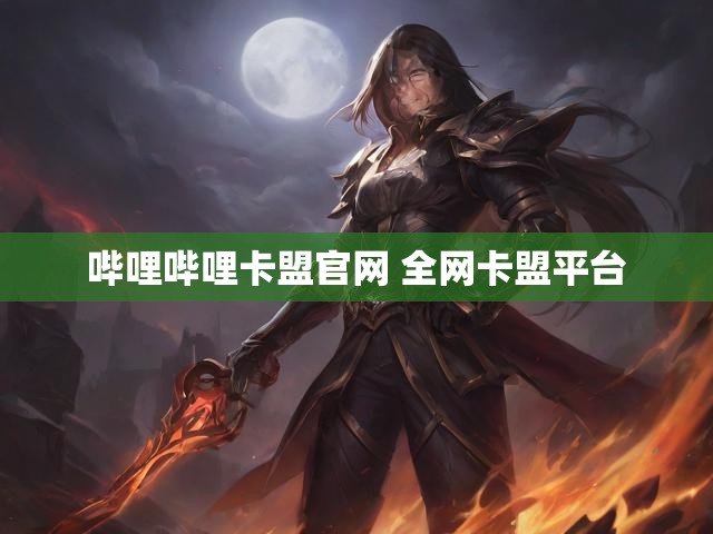 哔哩哔哩卡盟官网 全网卡盟平台