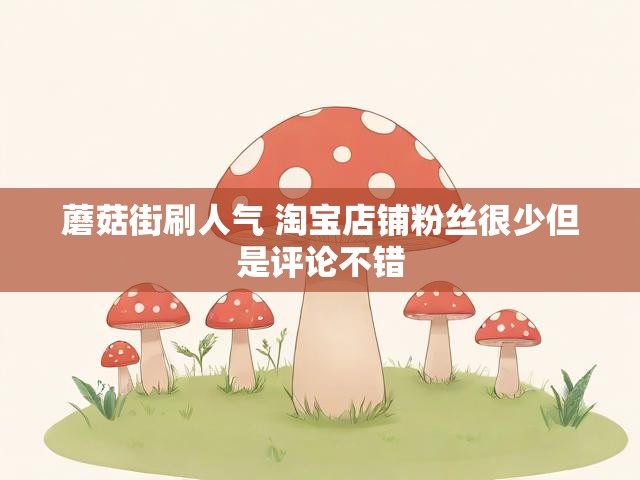 蘑菇街刷人气 淘宝店铺粉丝很少但是评论不错