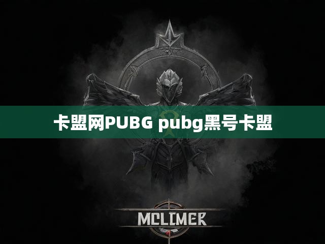 卡盟网PUBG pubg黑号卡盟