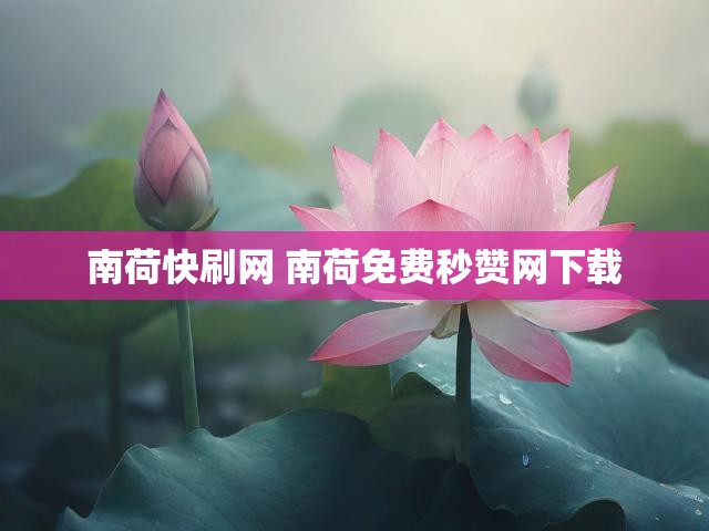 南荷快刷网 南荷免费秒赞网下载