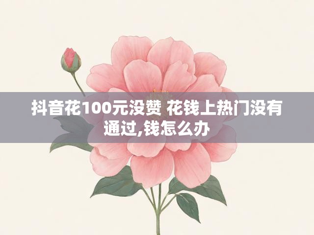 抖音花100元没赞 花钱上热门没有通过,钱怎么办